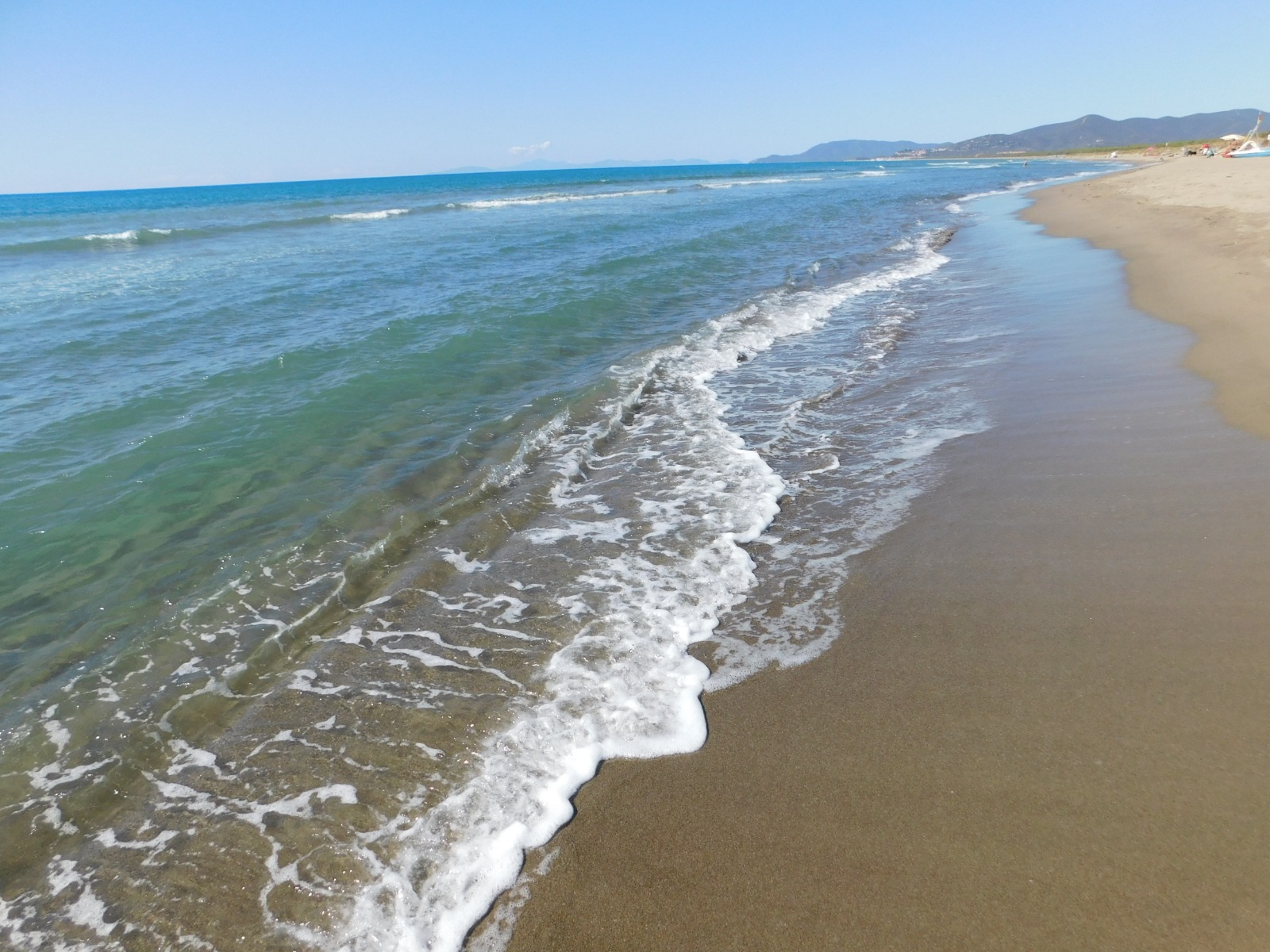 Maremma 1